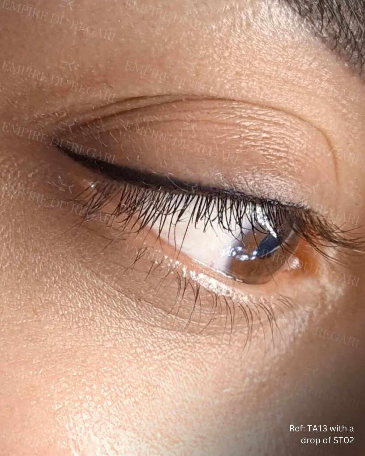 Intense black eyeliner pigment